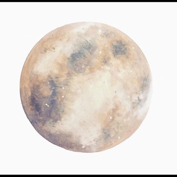 Meet your Posher, Brogan - Picture 1 of 1